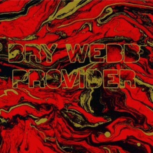 Bry Webb – Provider