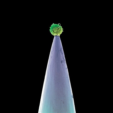 Peter Gabriel – New Blood