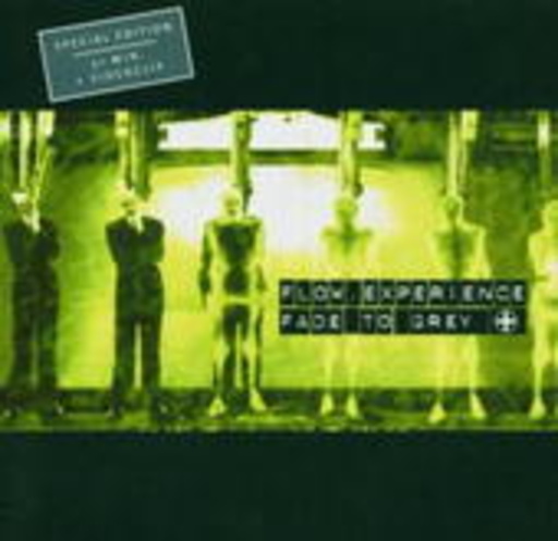 Flow Experience – Fade To Grey