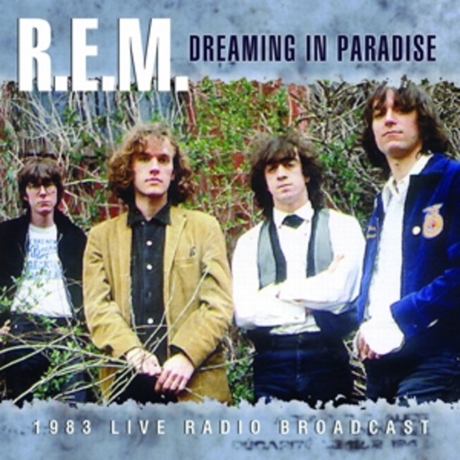 Dreaming In Paradise