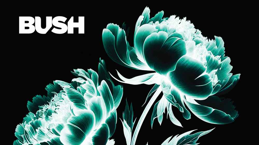 Bush veröffentlichen am 18. Juli ihr zehntes Studioalbum "I Beat Loneliness".