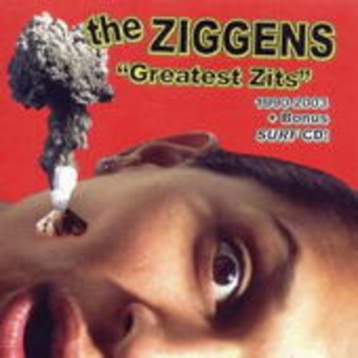 The Ziggens – Greatest Zits 1990-2003
