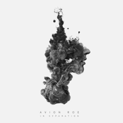 Avion Roe – In Separation