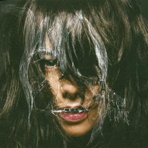 Björk – Hidden Place