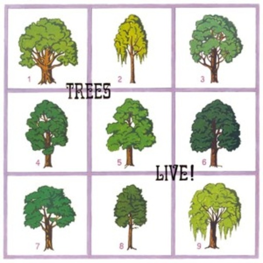 Trees – Live!