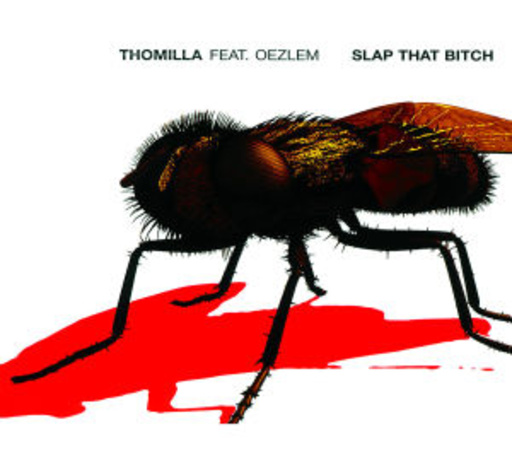 Thomilla feat. Oezlem – Slap That Bitch