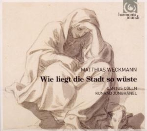 Wie liegt die Stadt so wüste