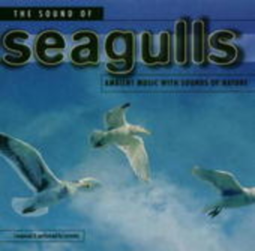 Diverse – The Sound Of Seagulls