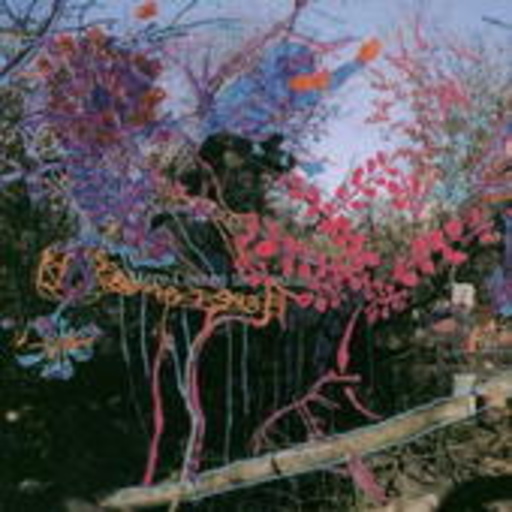 The Animal Collective – Here Comes The Indian