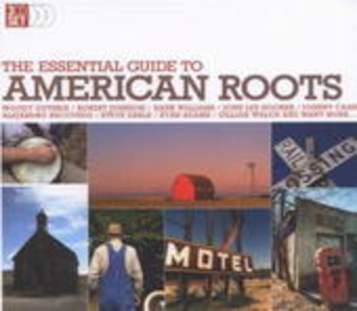 Diverse – The Essential Guide To American Roots