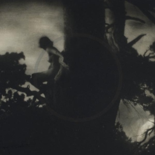 Moon King – Obsessions