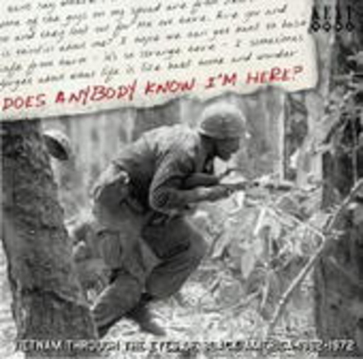 Diverse – Does Anybody Know I'm Here? (Vietnam 1962-72)