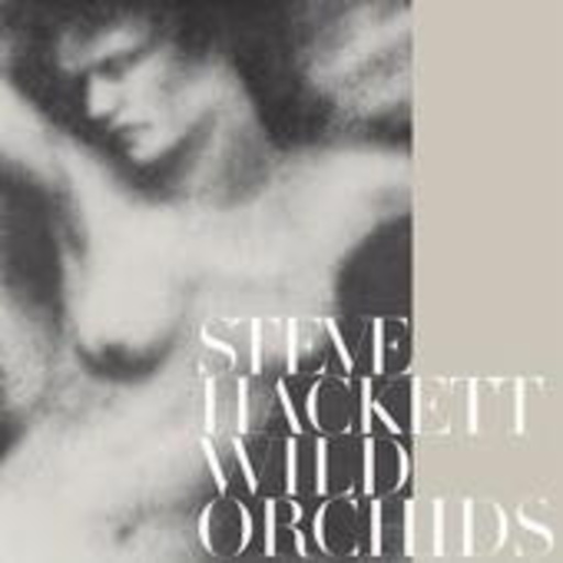Steve Hackett – Wild Orchids