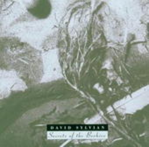 David Sylvain – Secrets Of The Beehive