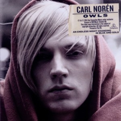 Carl Norén – Owls