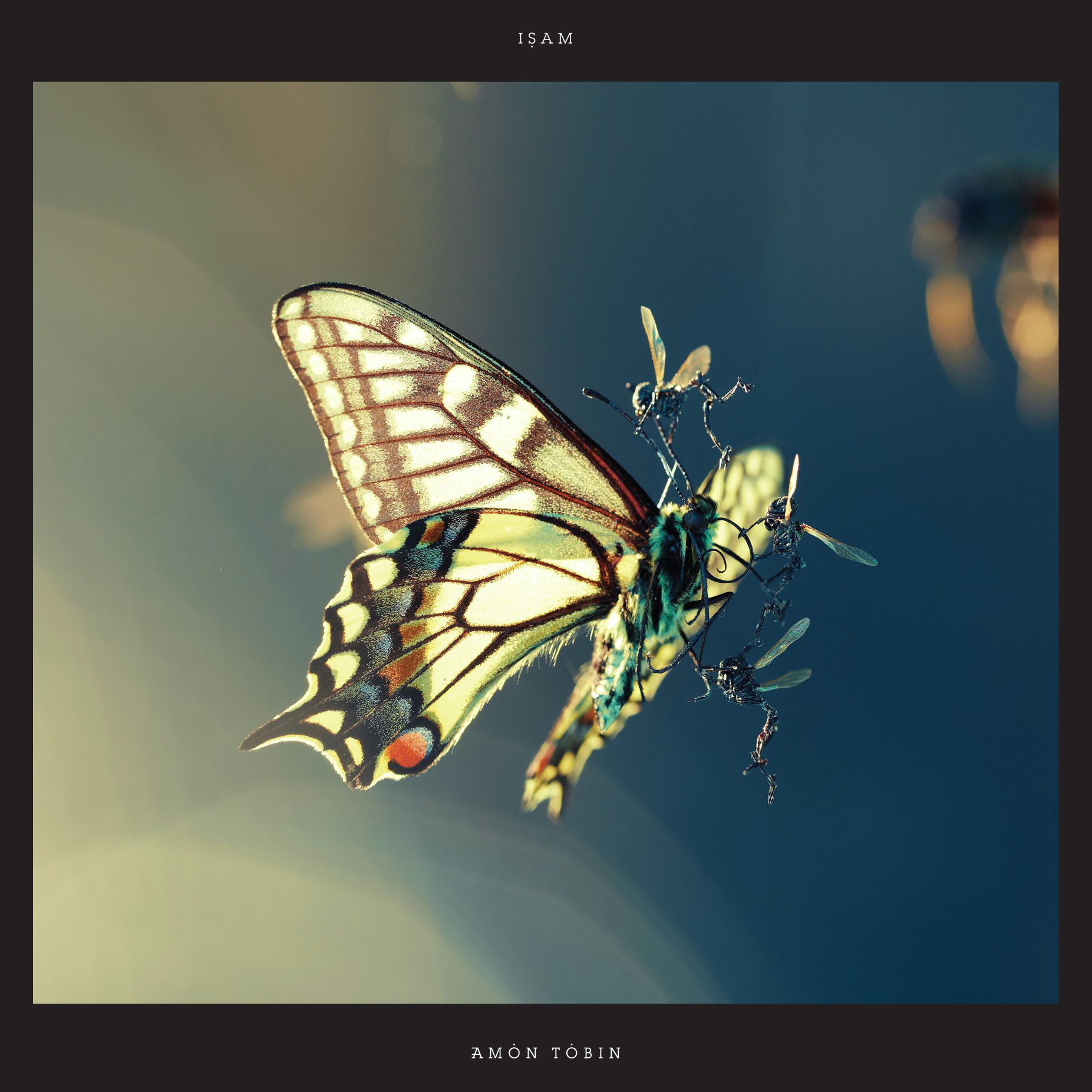 Amon Tobin – Isam