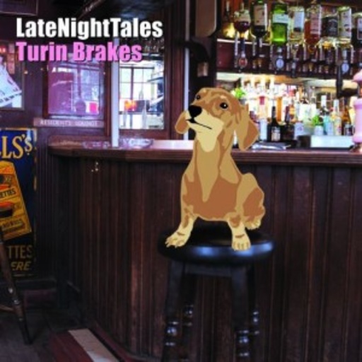Diverse – LateNightTales - Turin Brakes