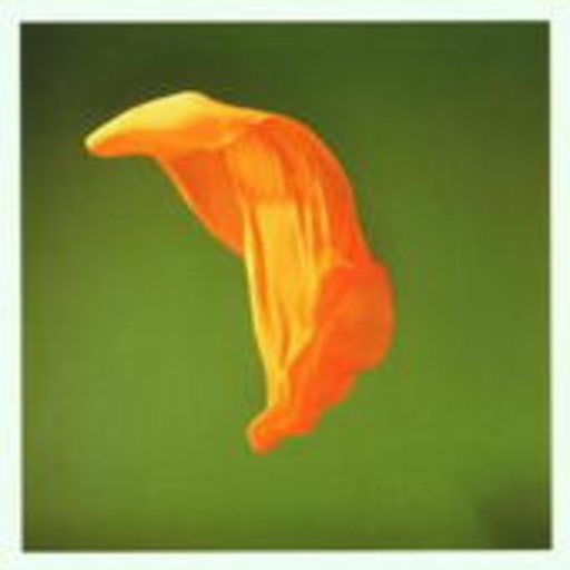 Metamatics – SpookTinselShoal