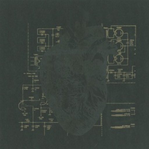 Last Harbour – Your Heart, It Carries The Sound