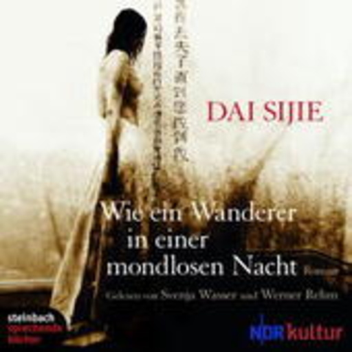 Diverse – Wie ein Wanderer in einer mondlosen Nacht