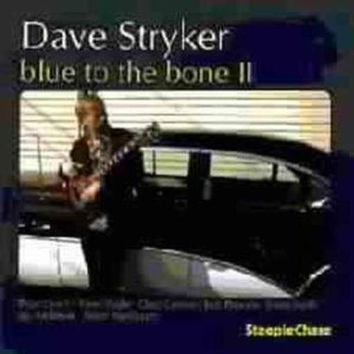 Dav Stryker – Blue To The Bone II