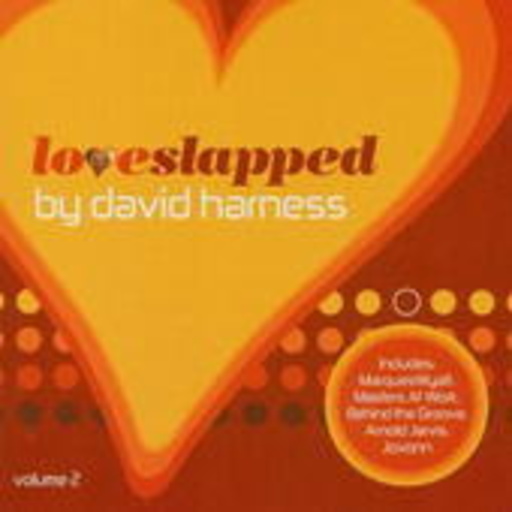 Diverse – Loveslapped 2 - David Harness