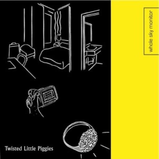 Whole Sky Monitor – Twisted Little Piggies