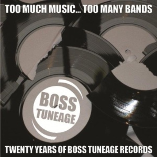 Diverse – Too Much Music, Too Many Bands