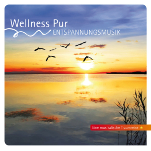 Diverse – Wellness Pur - Entspannungsmusik