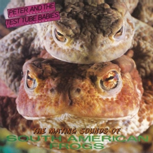 Peter & The Test Tube Babies – Mating Sounds Of South American Frogs