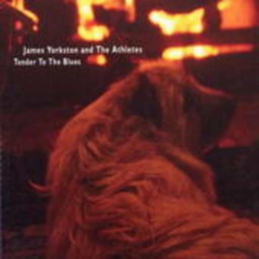 James Yorkston – Tender To The Blues