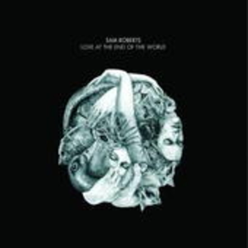 Sam Roberts – Love At The End Of The World