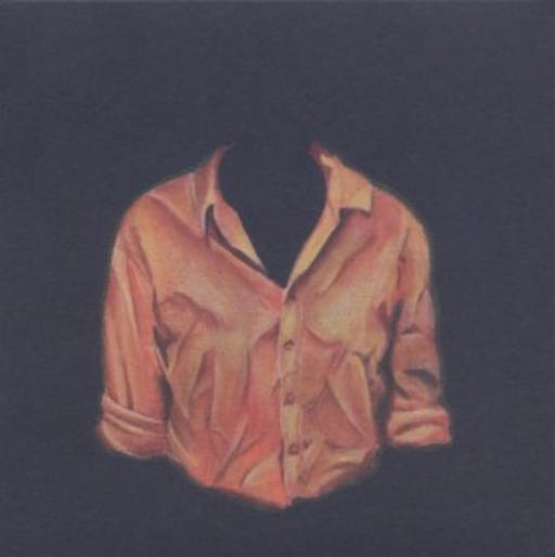 Paper Bird – Thaumatrope