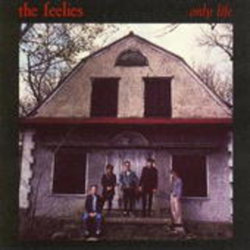 The Feelies – Only Life