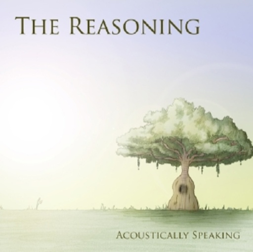 Reasoning – Acoustically Speaking