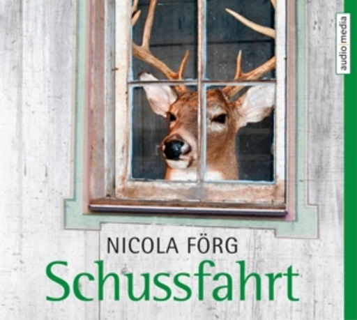 Hans-Jürgen Stöckerl – Schussfahrt