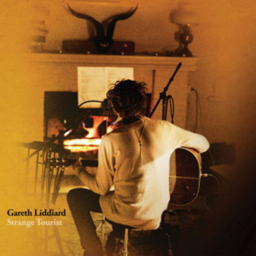 Gareth Liddiard – Strange Tourist