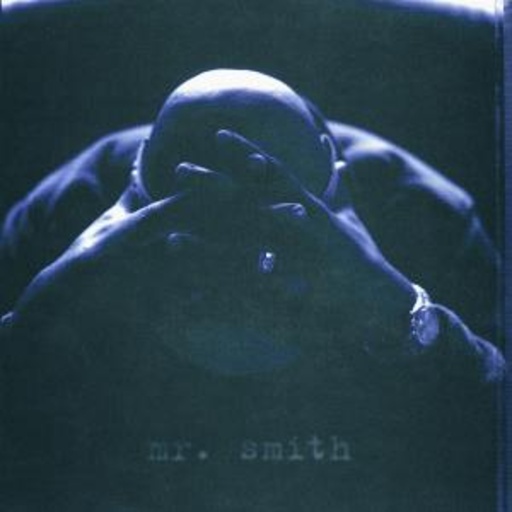 LL Cool J – Mr. Smith