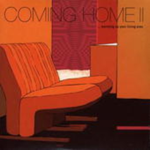 Diverse – Coming Home II