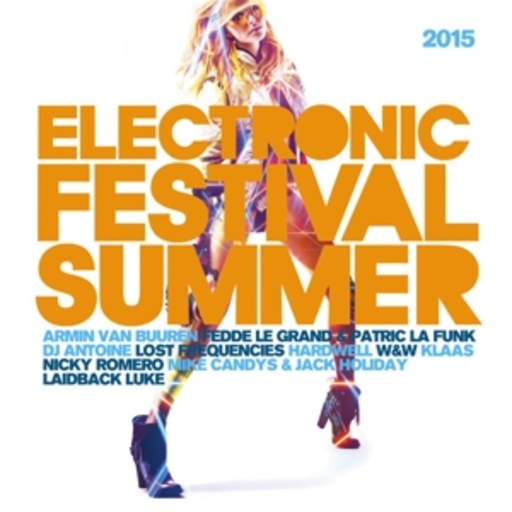 Diverse – Electronic Festival Summer 2015