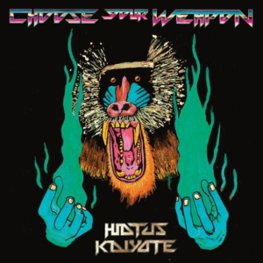 Hiatus Kaiyote – Choose Your Weapon