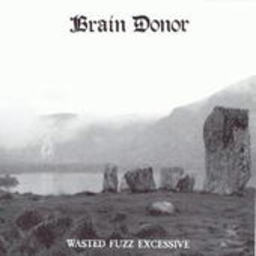 Brain Donor – Wasted Fuzz Excessive