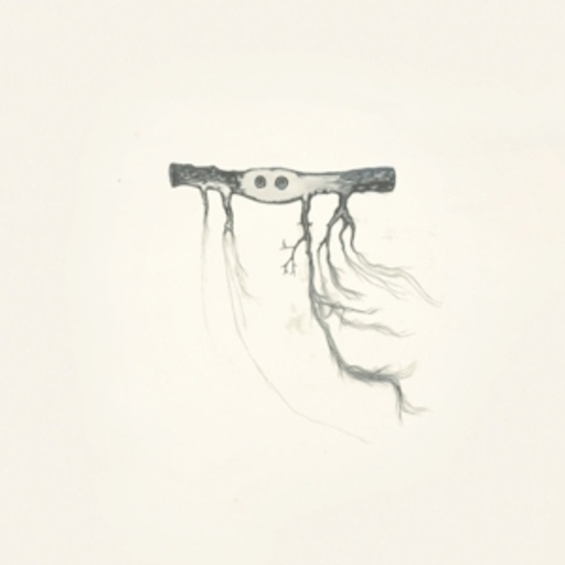 Jose Gonzalez – In Our Nature