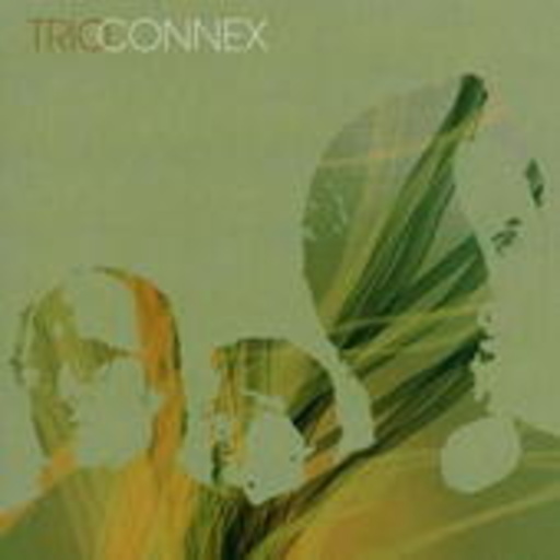 Büchner/Steen etc. – Trio Connex