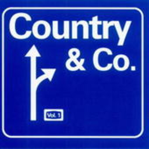 Diverse – Country & Co. Vol.1