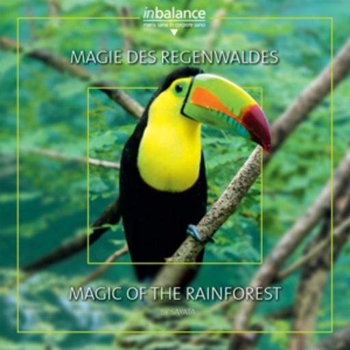 Sayata – Magie des Regenwaldes