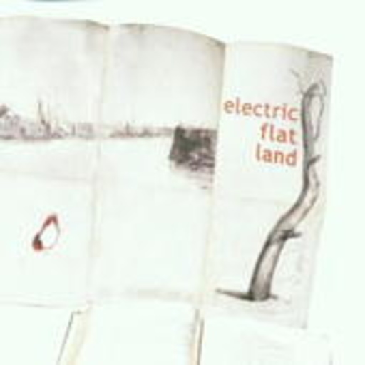 Diverse – Electric Flat Land