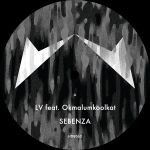 LV feat. Okmalumkoolkat – Sebenza
