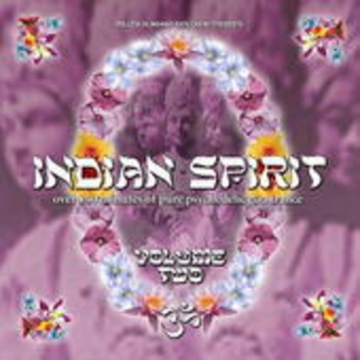 Diverse – Indian Spirit Vol. 2