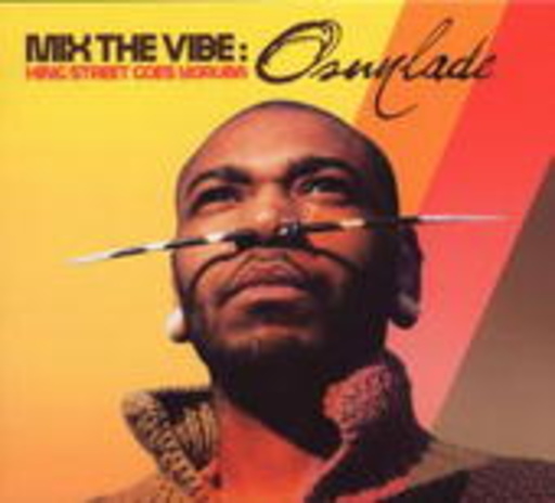 Diverse – Mix The Vibe/Osunlade
